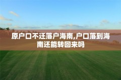 原户口不迁落户海南,户口落到海南还能转回来吗