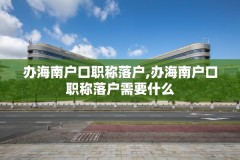 办海南户口职称落户,办海南户口职称落户需要什么