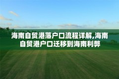 海南自贸港落户口流程详解,海南自贸港户口迁移到海南利弊