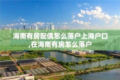海南有房配偶怎么落户上海户口,在海南有房怎么落户
