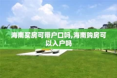 海南买房可带户口吗,海南购房可以入户吗