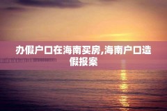 办假户口在海南买房,海南户口造假报案