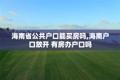 海南省公共户口能买房吗,海南户口放开 有房办户口吗