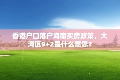 香港户口落户海南买房政策,大湾区9+2是什么意思?
