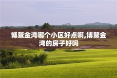 博鳌金湾哪个小区好点啊,博鳌金湾的房子好吗