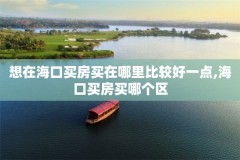 想在海口买房买在哪里比较好一点,海口买房买哪个区