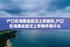 户口在海南去武汉上学条件,户口在海南去武汉上学条件是什么