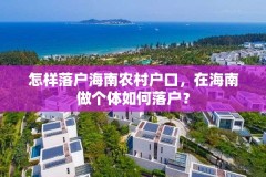 怎样落户海南农村户口,在海南做个体如何落户?