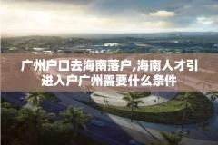 广州户口去海南落户,海南人才引进入户广州需要什么条件