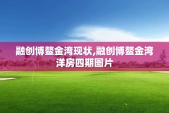 融创博鳌金湾现状,融创博鳌金湾洋房四期图片