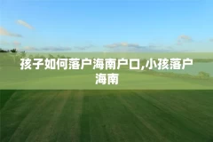 孩子如何落户海南户口,小孩落户海南