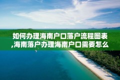 如何办理海南户口落户流程图表,海南落户办理海南户口需要怎么办