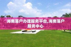 海南落户办理服务平台,海南落户服务中心