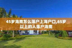 45岁海南怎么落户上海户口,65岁以上的人落户海南