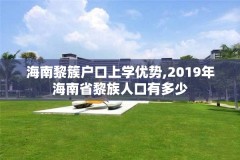 海南黎簇户口上学优势,2019年海南省黎族人口有多少