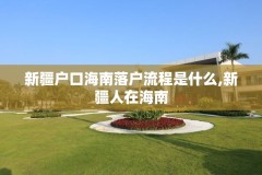 新疆户口海南落户流程是什么,新疆人在海南