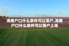 海南户口什么条件可以落户,海南户口什么条件可以落户上海