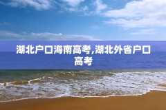 湖北户口海南高考,湖北外省户口高考