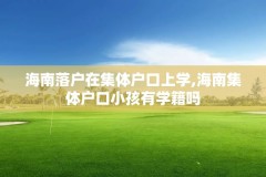 海南落户在集体户口上学,海南集体户口小孩有学籍吗