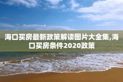 海口买房最新政策解读图片大全集,海口买房条件2020政策