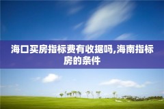 海口买房指标费有收据吗,海南指标房的条件