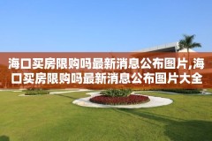 海口买房限购吗最新消息公布图片,海口买房限购吗最新消息公布图片大全