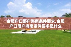 合肥户口落户海南条件要求,合肥户口落户海南条件要求是什么