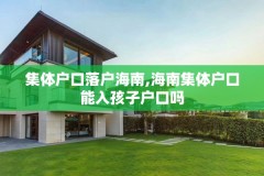 集体户口落户海南,海南集体户口能入孩子户口吗