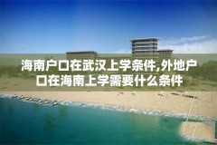 海南户口在武汉上学条件,外地户口在海南上学需要什么条件