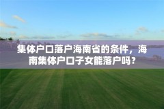 集体户口落户海南省的条件，海南集体户口子女能落户吗？