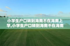 小学生户口转到海南不在海南上学,小学生户口转到海南不在海南上学怎么办