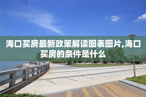 海口买房最新政策解读图表图片,海口买房的条件是什么