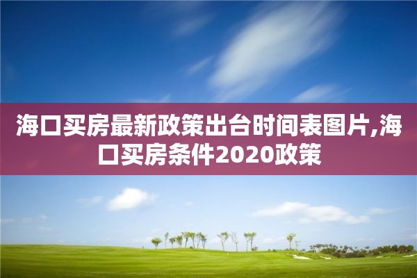 海口买房最新政策出台时间表图片,海口买房条件2020政策