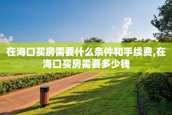 在海口买房需要什么条件和手续费,在海口买房需要多少钱