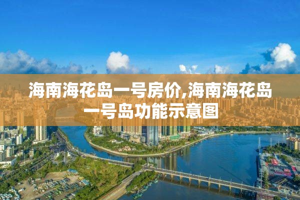 海南海花岛一号房价,海南海花岛一号岛功能示意图