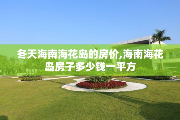 冬天海南海花岛的房价,海南海花岛房子多少钱一平方