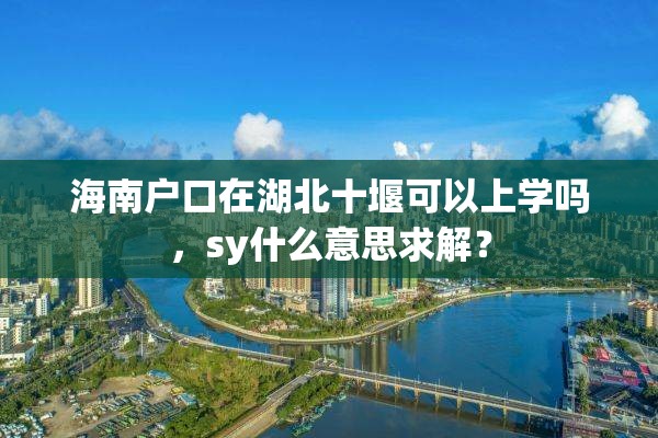 海南户口在湖北十堰可以上学吗，sy什么意思求解？