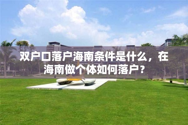 双户口落户海南条件是什么，在海南做个体如何落户？