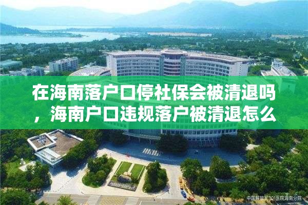 在海南落户口停社保会被清退吗，海南户口违规落户被清退怎么办？