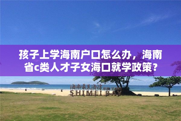 孩子上学海南户口怎么办，海南省c类人才子女海口就学政策？