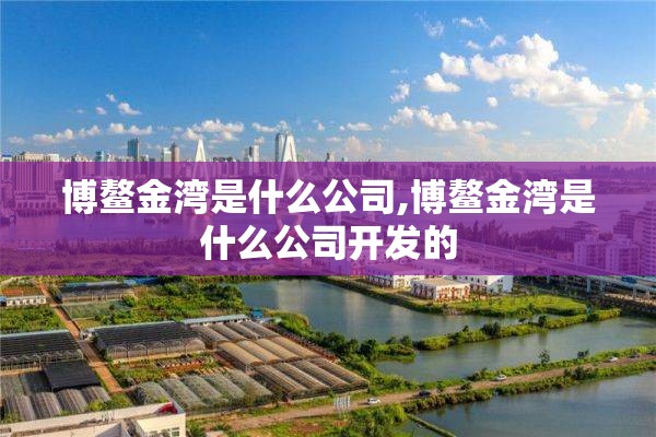 博鳌金湾是什么公司,博鳌金湾是什么公司开发的