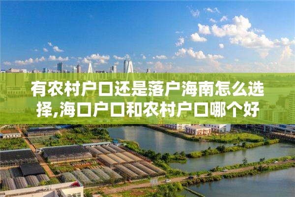 有农村户口还是落户海南怎么选择,海口户口和农村户口哪个好