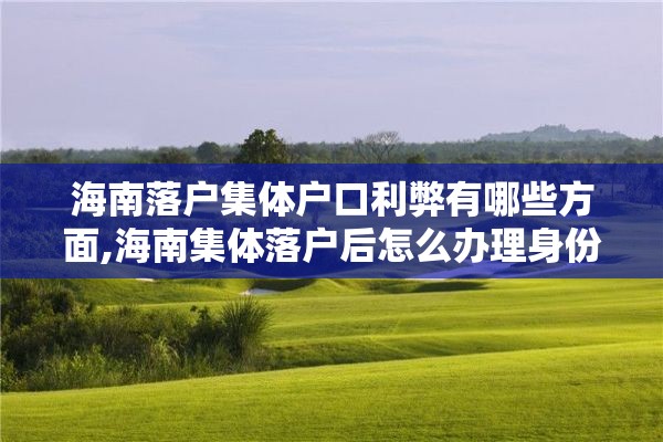 海南落户集体户口利弊有哪些方面,海南集体落户后怎么办理身份证