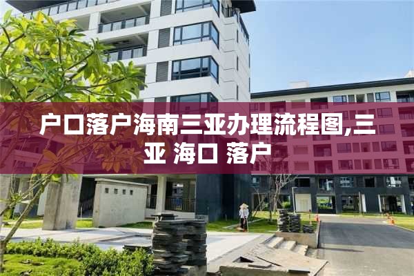户口落户海南三亚办理流程图,三亚 海口 落户