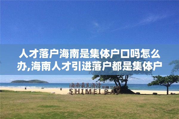 人才落户海南是集体户口吗怎么办,海南人才引进落户都是集体户口吗