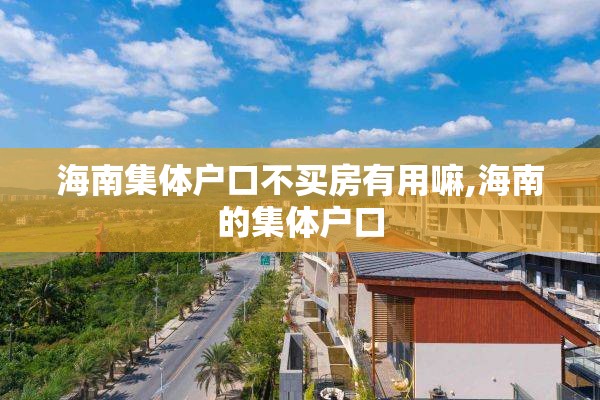 海南集体户口不买房有用嘛,海南的集体户口