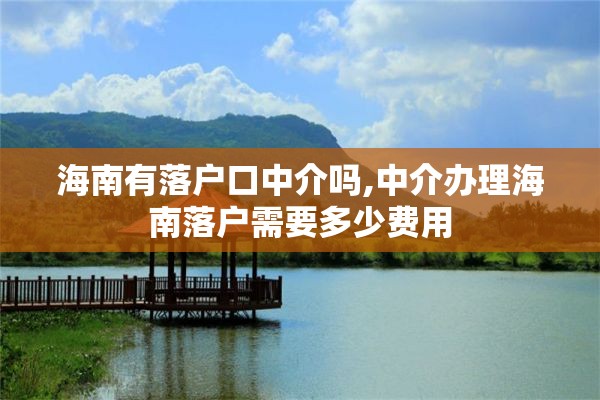 海南有落户口中介吗,中介办理海南落户需要多少费用