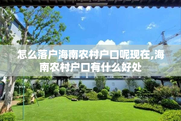 怎么落户海南农村户口呢现在,海南农村户口有什么好处