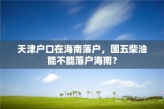 天津户口在海南落户,国五柴油能不能落户海南?
