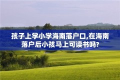 孩子上学小学海南落户口,在海南落户后小孩马上可读书吗?